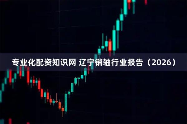 专业化配资知识网 辽宁销轴行业报告（2026）